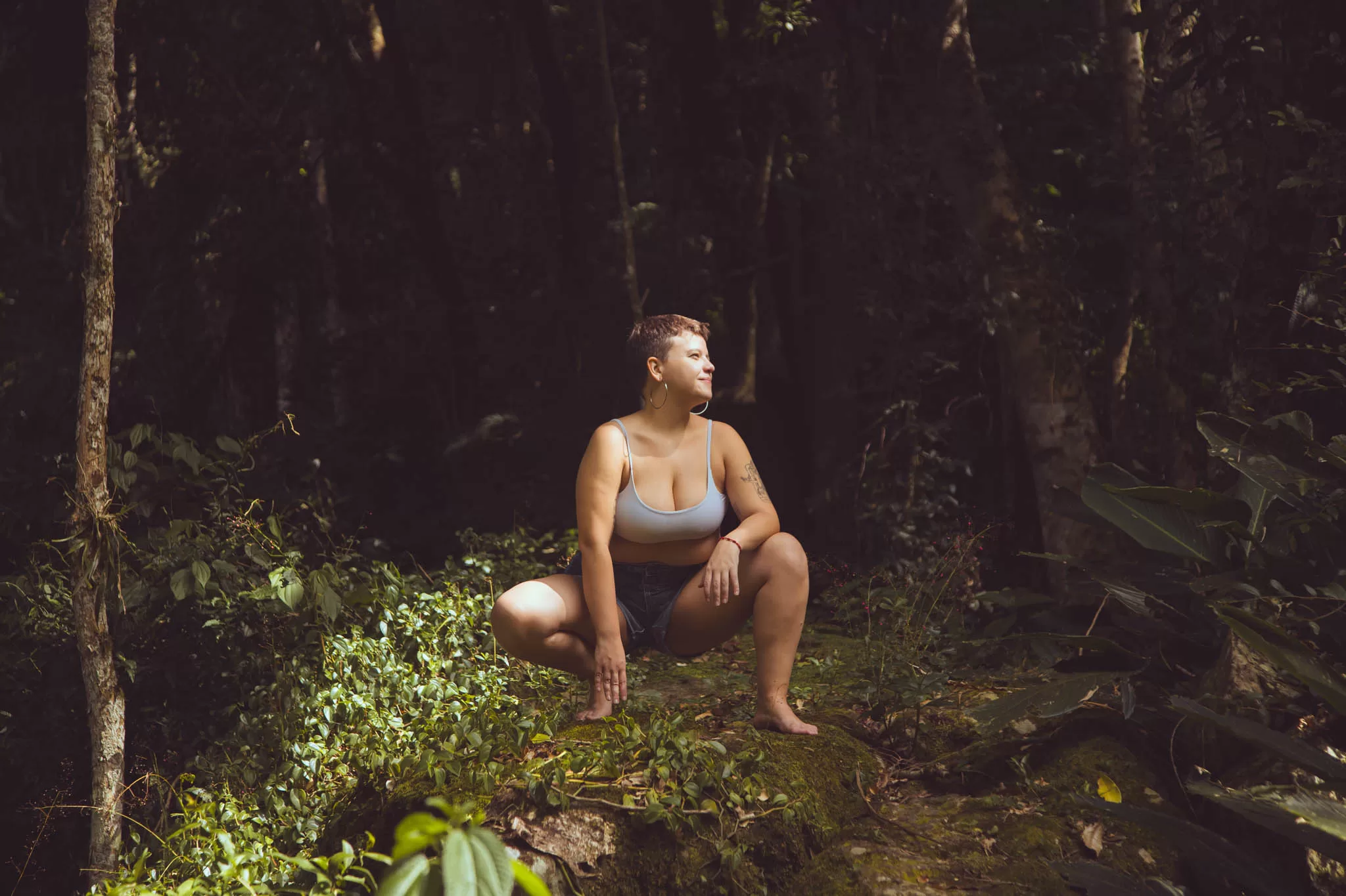 Olfato domesticação faro livre